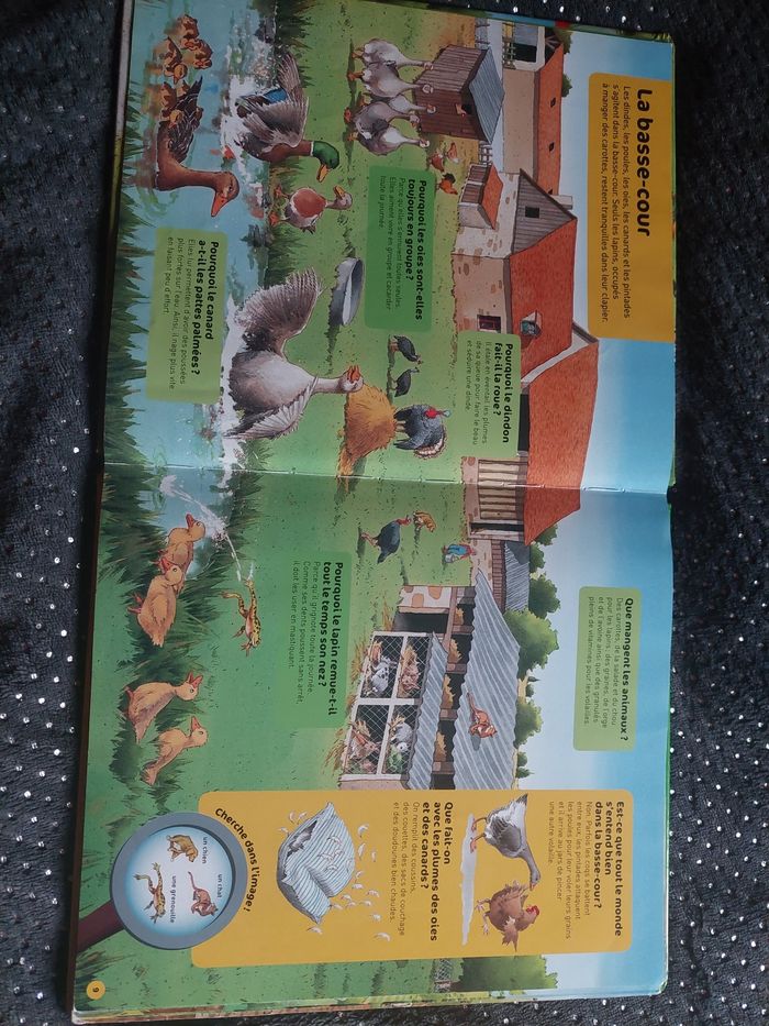 Questions réponses,  la ferme - photo numéro 6