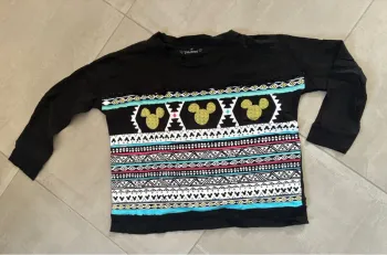 Petit pull Disneyland Paris