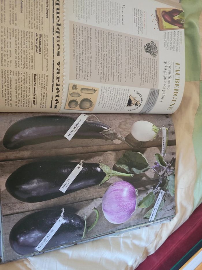 De mémoire de potager - photo numéro 3