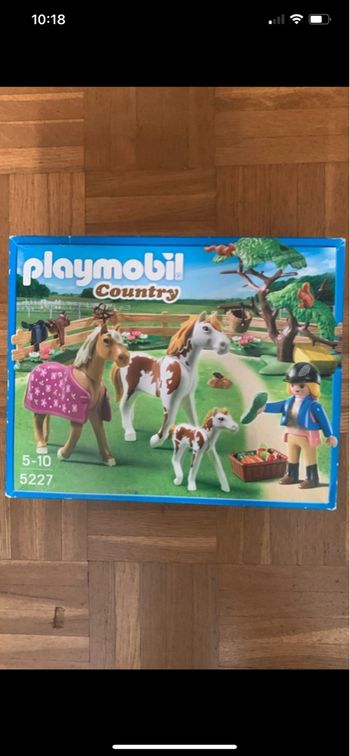 Playmobil chevaux