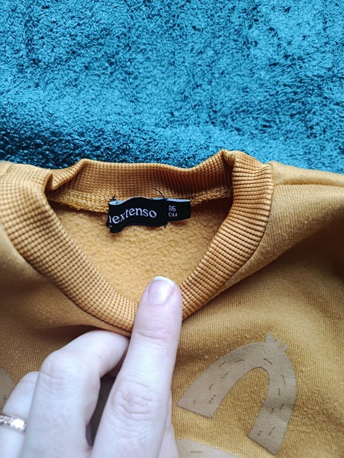 Pull raton laveur - photo numéro 2