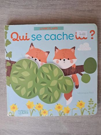 Livre flaps qui se cache ici ?