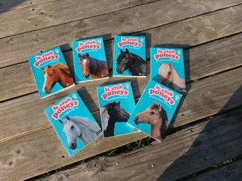 Le club des poneys
