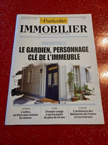 Magazines Le Particulier Immobilier 2025 du N°425 au N°435