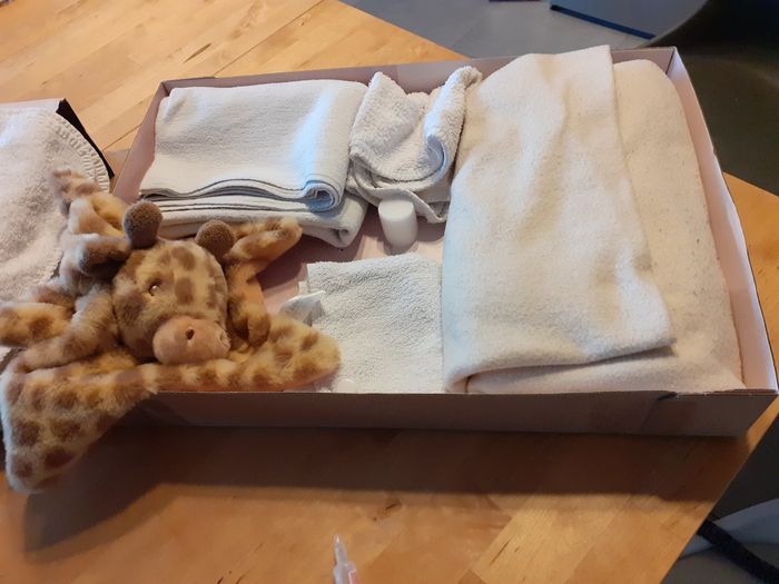 Lot couverture et doudou - photo numéro 2