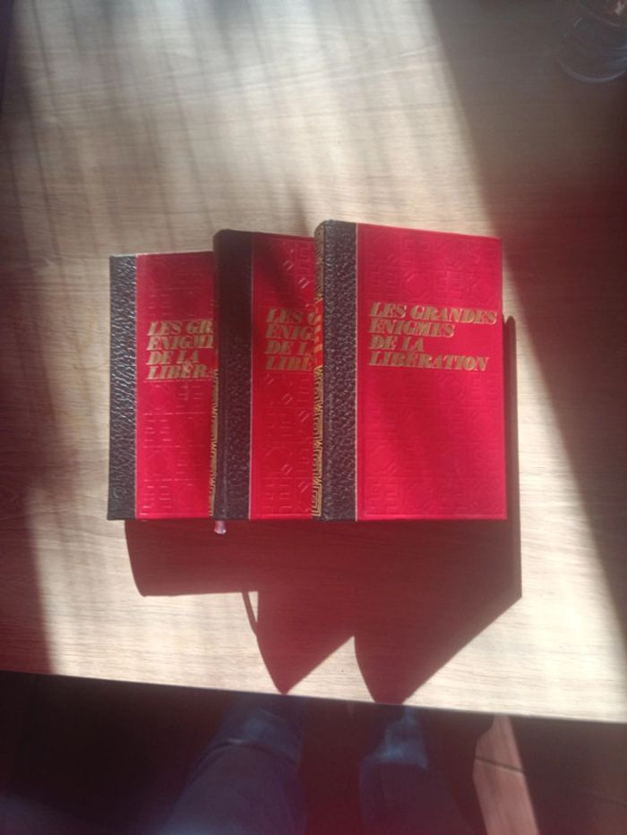 Les grandes énigmes de la libération - photo numéro 2