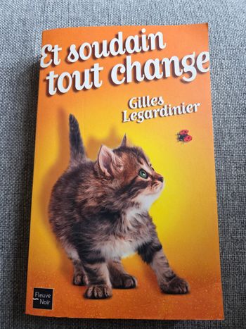 Livre Et soudain tout change de Gilles Legardinier 
