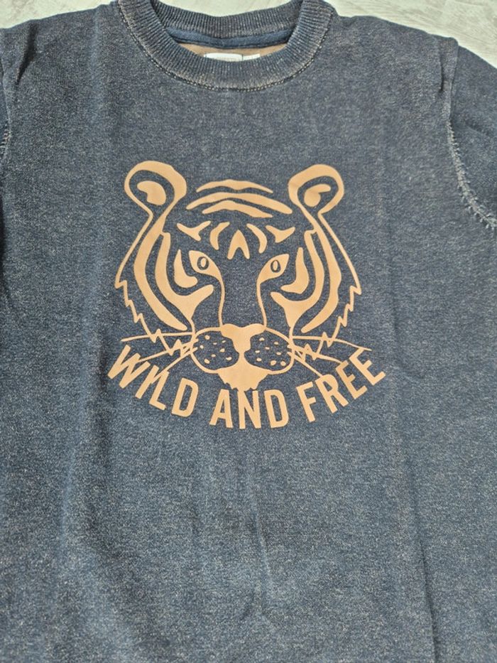 Pull Taille 12 ans - photo numéro 4