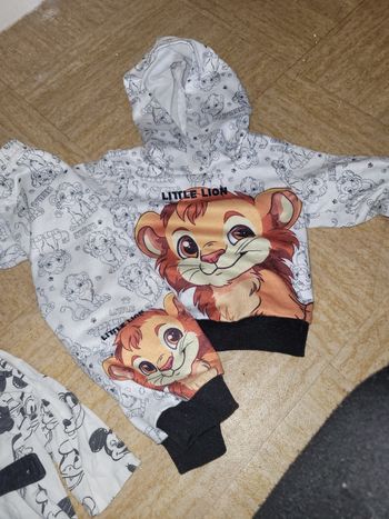 Ensemble Mickey et lion