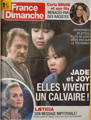 🎸 Affiche Johnny Hallyday rare collection