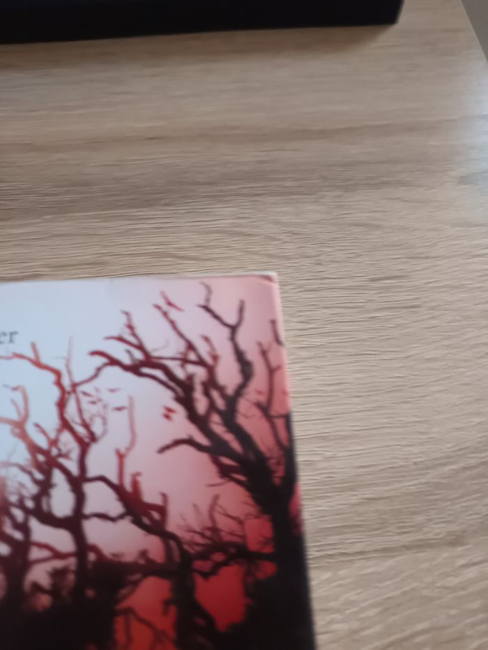 Lot "Nés a minuit" - photo numéro 5