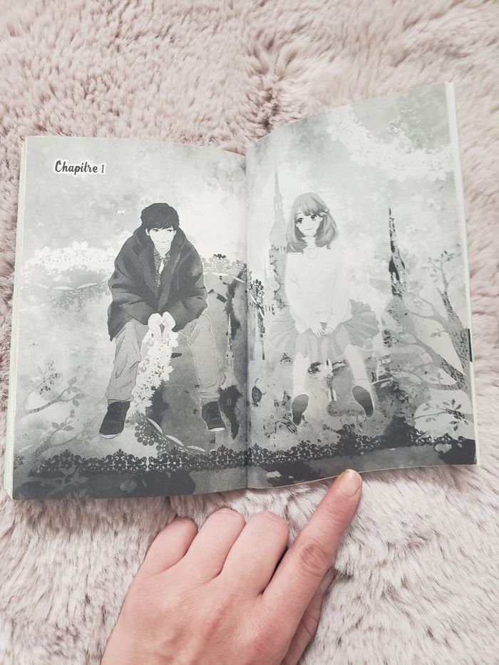 Mangas - photo numéro 3