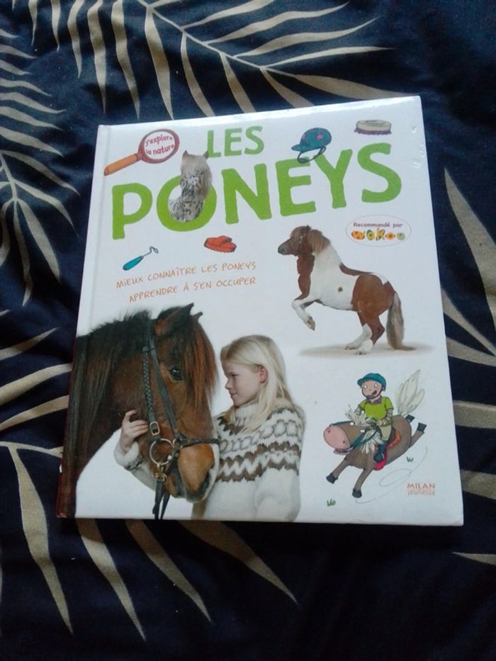Les poneys
