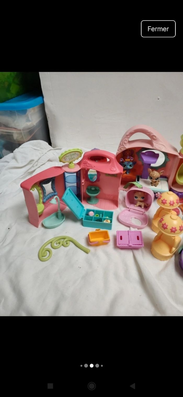 Pet shop - photo numéro 4