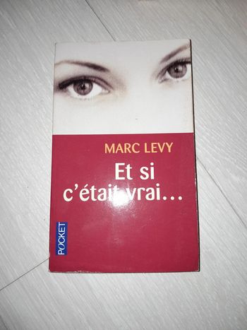 Marc Levy et si c etait vrai