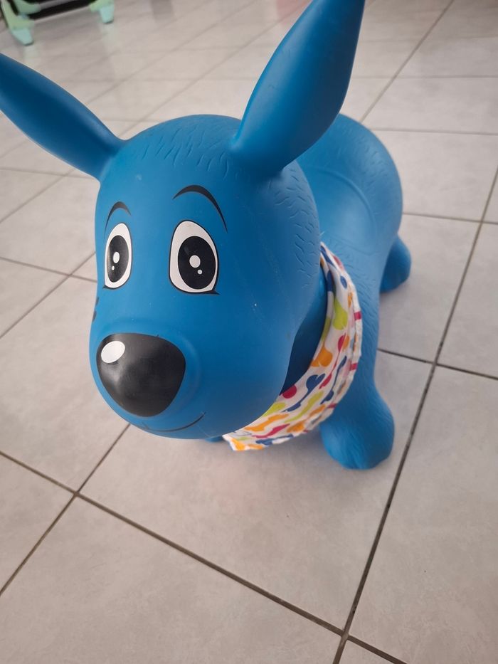 Chien sauteur ludi - photo numéro 2