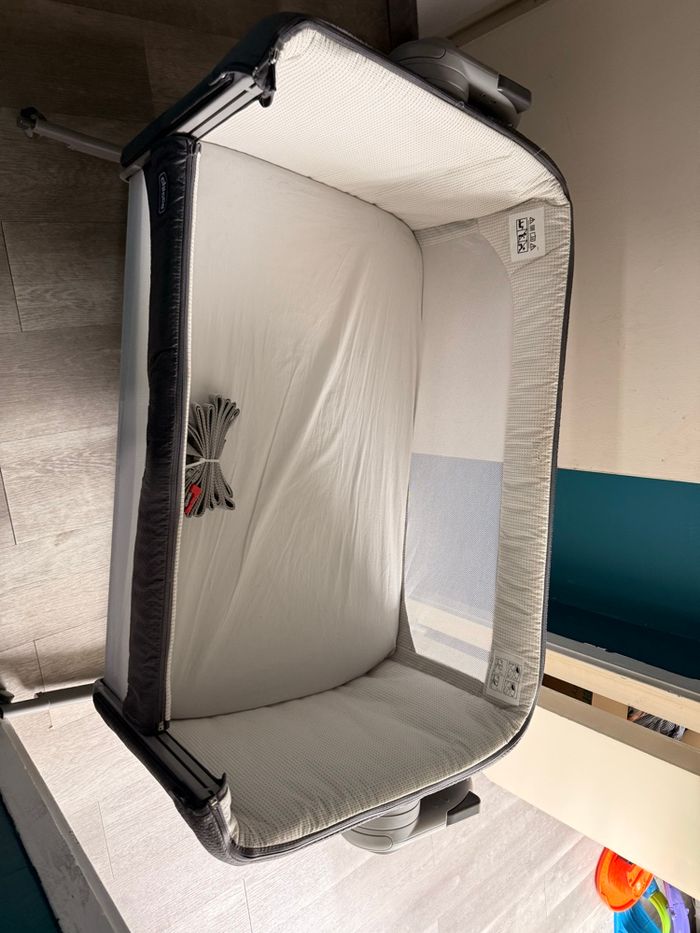 Cododo chicco - photo numéro 2