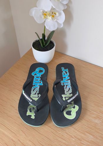 🦎 Tongs - Quicksilver - P36/37 🦎