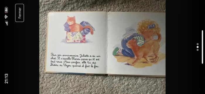Livre Juliette joue avec son chat - photo numéro 2