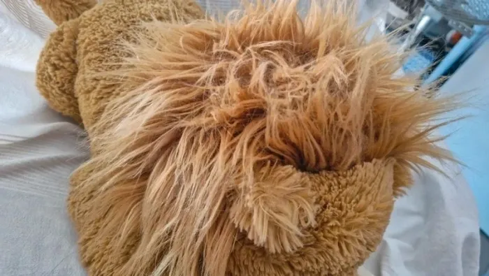 Lion jellycat - photo numéro 16