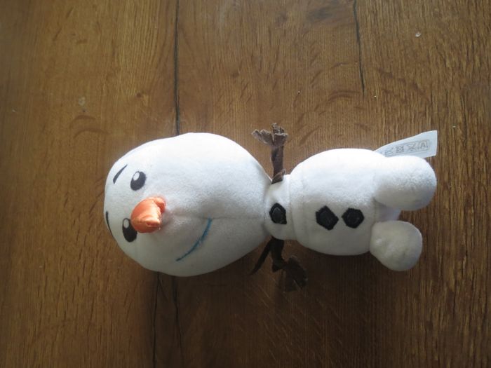 Duo reine des neige - photo numéro 4