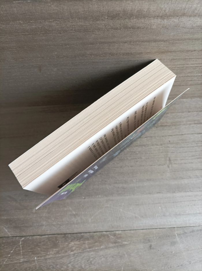 Livre enfant chair de poule 3 histoires - photo numéro 5