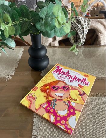 Livre les mistinguettes 