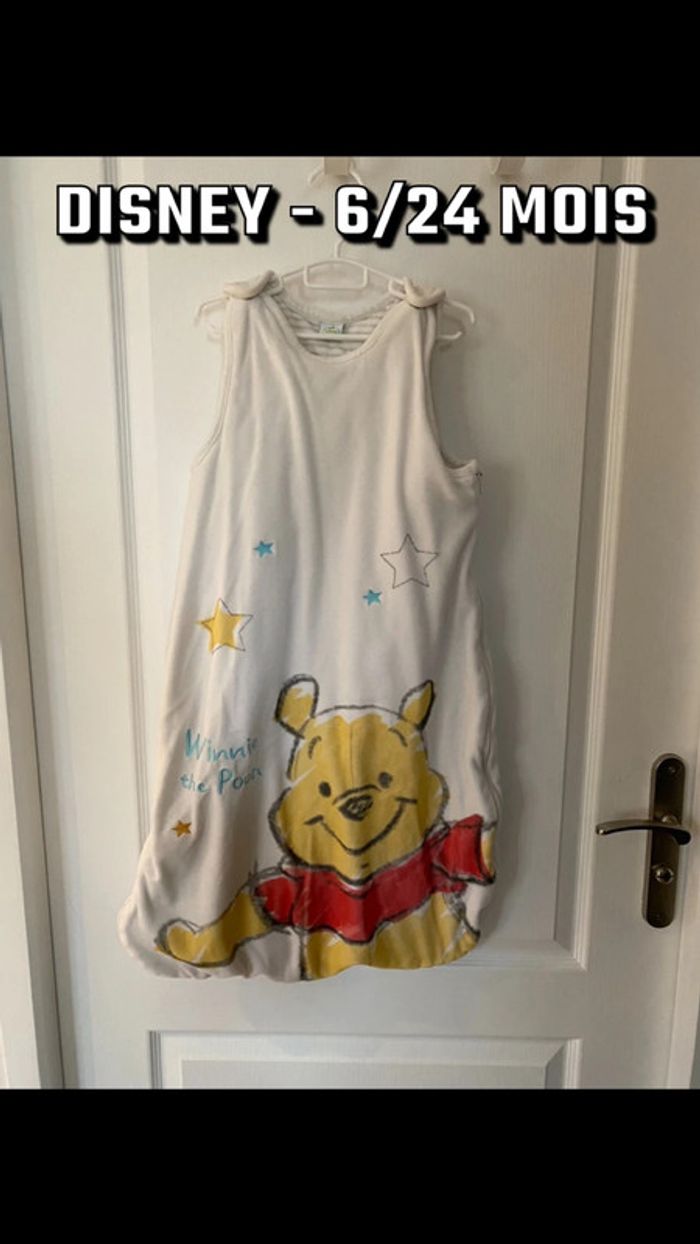Gigoteuse 6-24 mois Disney Winnie