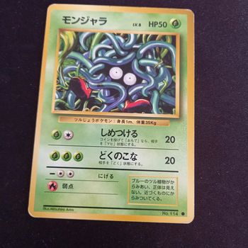 Carte pokemon Japon saquedeneu 114