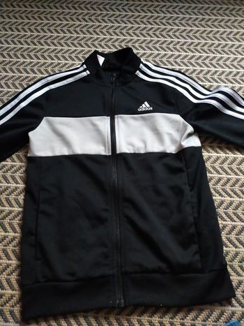 Veste adidas