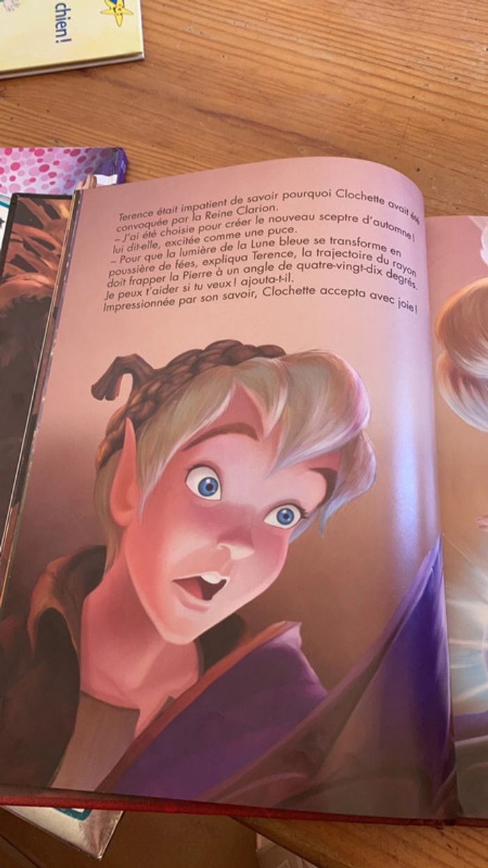 Livre « clochette et la Pierre de lune » disney - photo numéro 2
