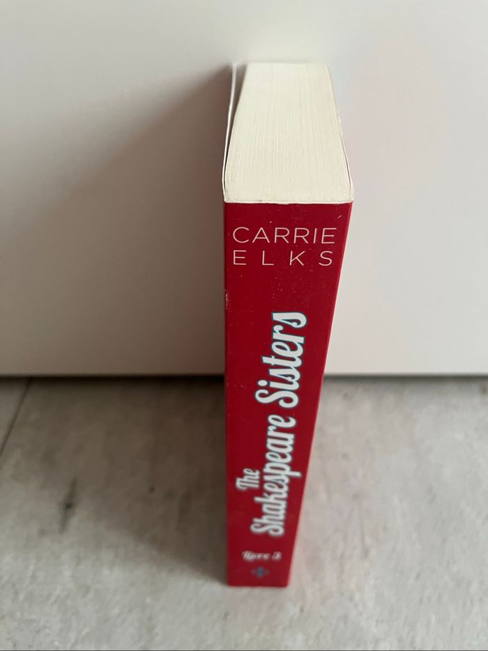 La magie de l’hiver de Carrie Elks - photo numéro 3