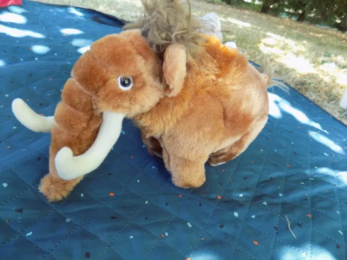 peluche