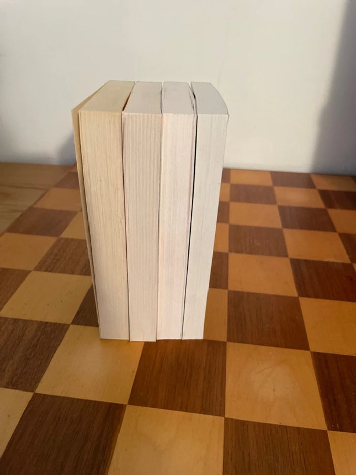 Lot 4 tomes minuit 13 - photo numéro 3