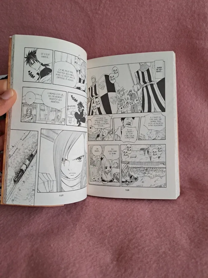 Fairytail 2 - photo numéro 4