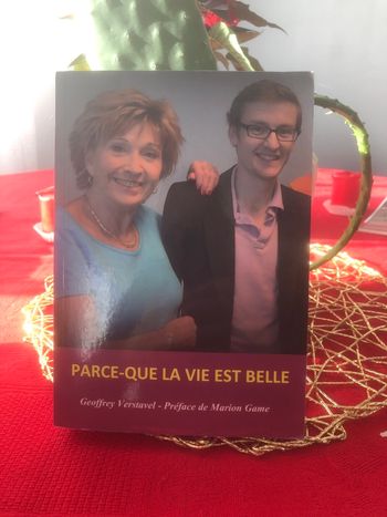 Parce que la vie est belle - Geoffrey Verstavel - Préface de Marion Game