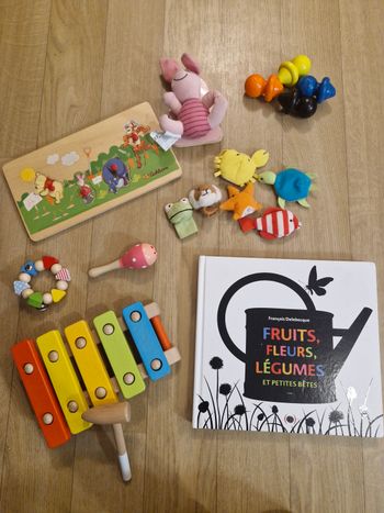 Lot de jouets en bois 1er âge + livre à rabats 