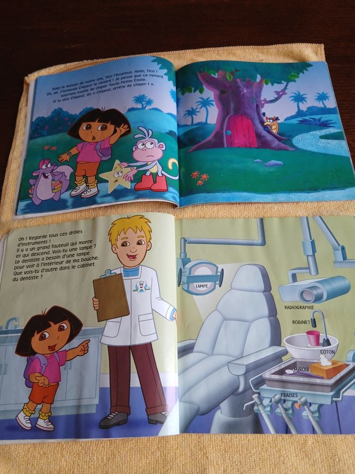 Livre Dora - photo numéro 2
