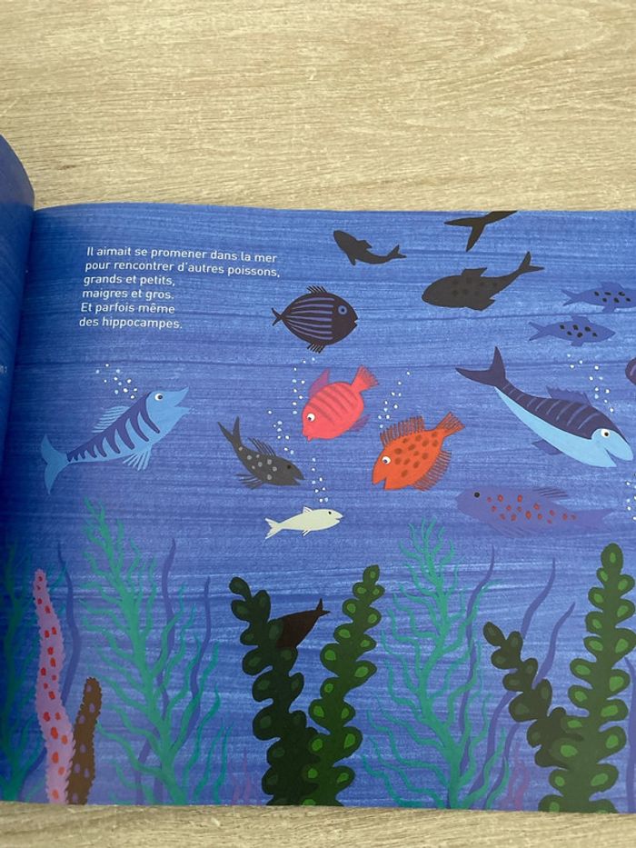 Argento, le petit poisson - photo numéro 3