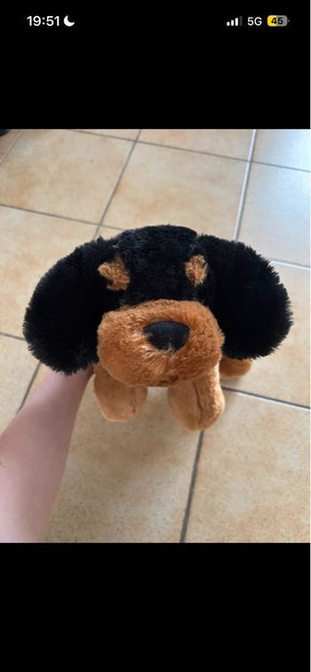Chien en peluche 