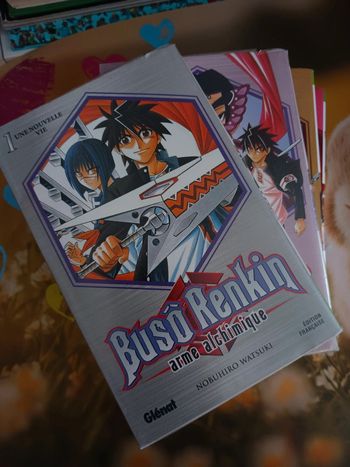 Manga Buso Renkin T1 à 10 (Complet)