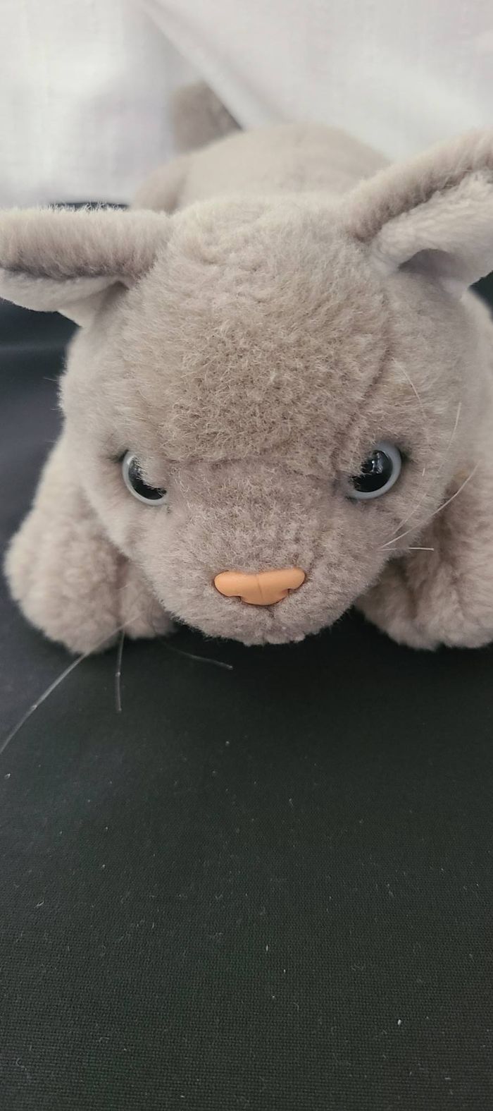 doudou chat poche interieur anna club plush