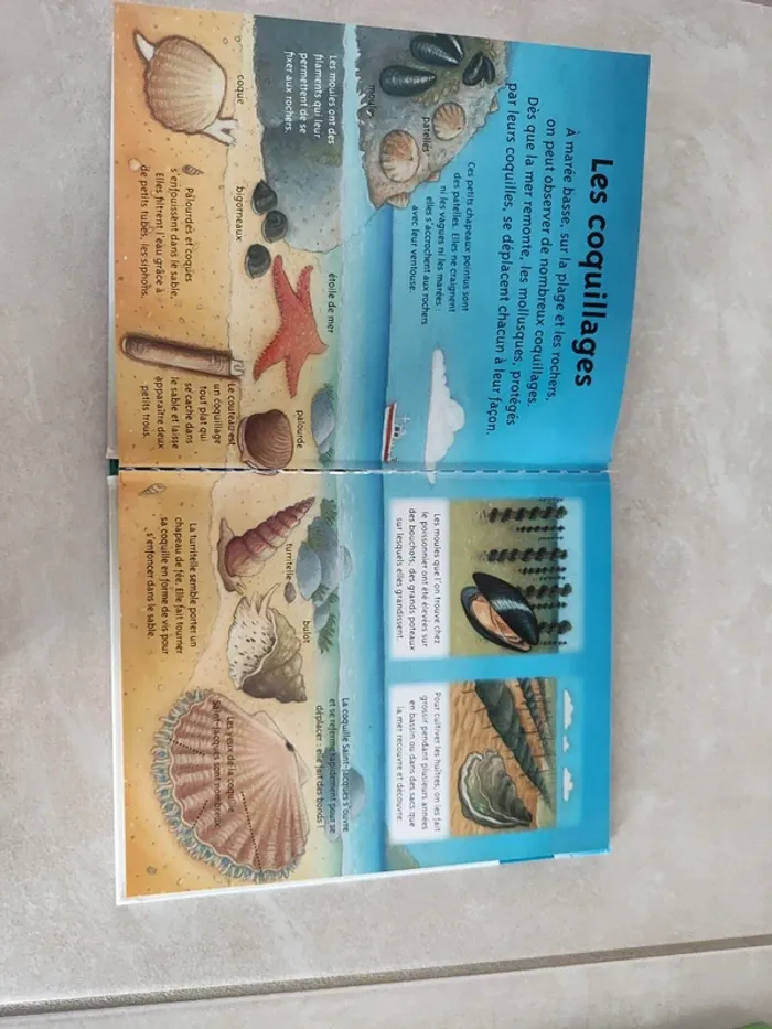 Livre Les animaux de la mer - photo numéro 4