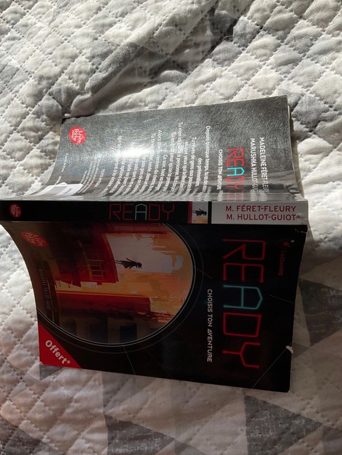 #ready choisis ton aventure Feret Fleury Hulot Guiot - photo numéro 4