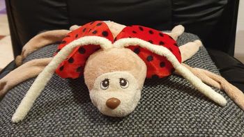 Peluche coccinelle de la marque Nounours