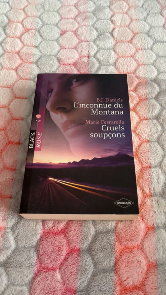 L inconnue du Montana et cruels soupçons