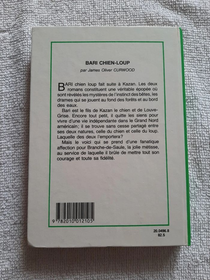 Bari chien-loup - photo numéro 2