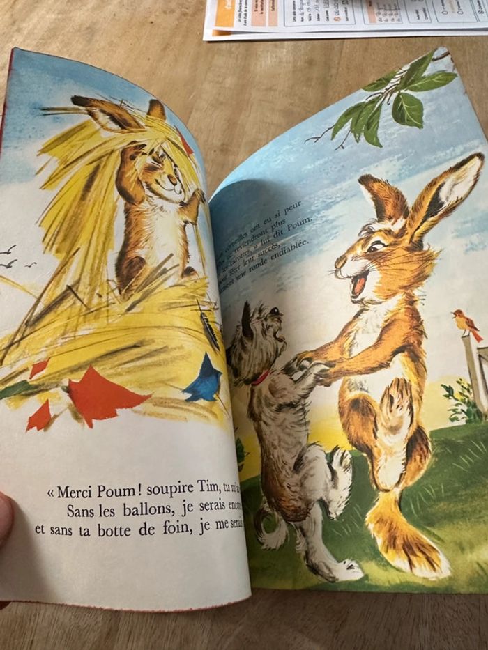 Les albums roses Hachette livre ancien vintage Tim en Ballon Pierre Probst lièvre lapin - photo numéro 6