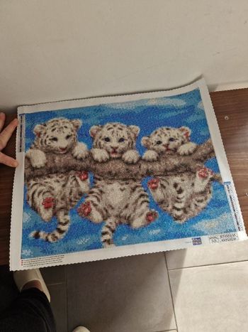 Tableau en Diamants de résine à encadrer