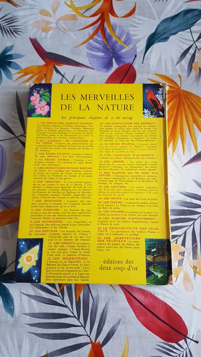 Les merveilles de la nature - photo numéro 2